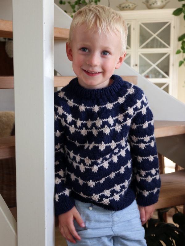 #siwsweaterjunior